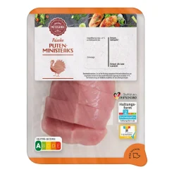Puten-Ministeaks